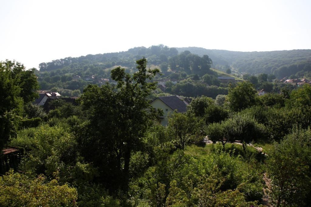 Pensiunea Sighişoara Extérieur photo